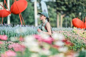 BIB: 
                            <button type="button" onclick="openModal(25933157)" class="btn btn-primary btn-sm float-right btn-popup" data-toggle="modal" data-target=".modal-high-quality">
                        <i class="fas fa-shopping-cart"></i> Add to Cart
                    </button>
                                            <button type="button" onclick="isThisMe(25933157, true)" class="btn btn-success btn-sm float-right btn-popup btn-isme hidden" data-toggle="tooltip" data-placement="bottom" title="นี่คือรูปของคุณใช่ไหม คลิกที่นี่เพื่อเอาเข้าอัลบั้ม">
                        <i class="fas fa-plus"></i> Add to album
                    </button>
                    <button type="button" onclick="isThisMe(25933157, false)" class="btn btn-warning btn-sm float-right btn-popup btn-isnotme hidden">
                        <i class="fas fa-ban"></i> Remove from album
                    </button>